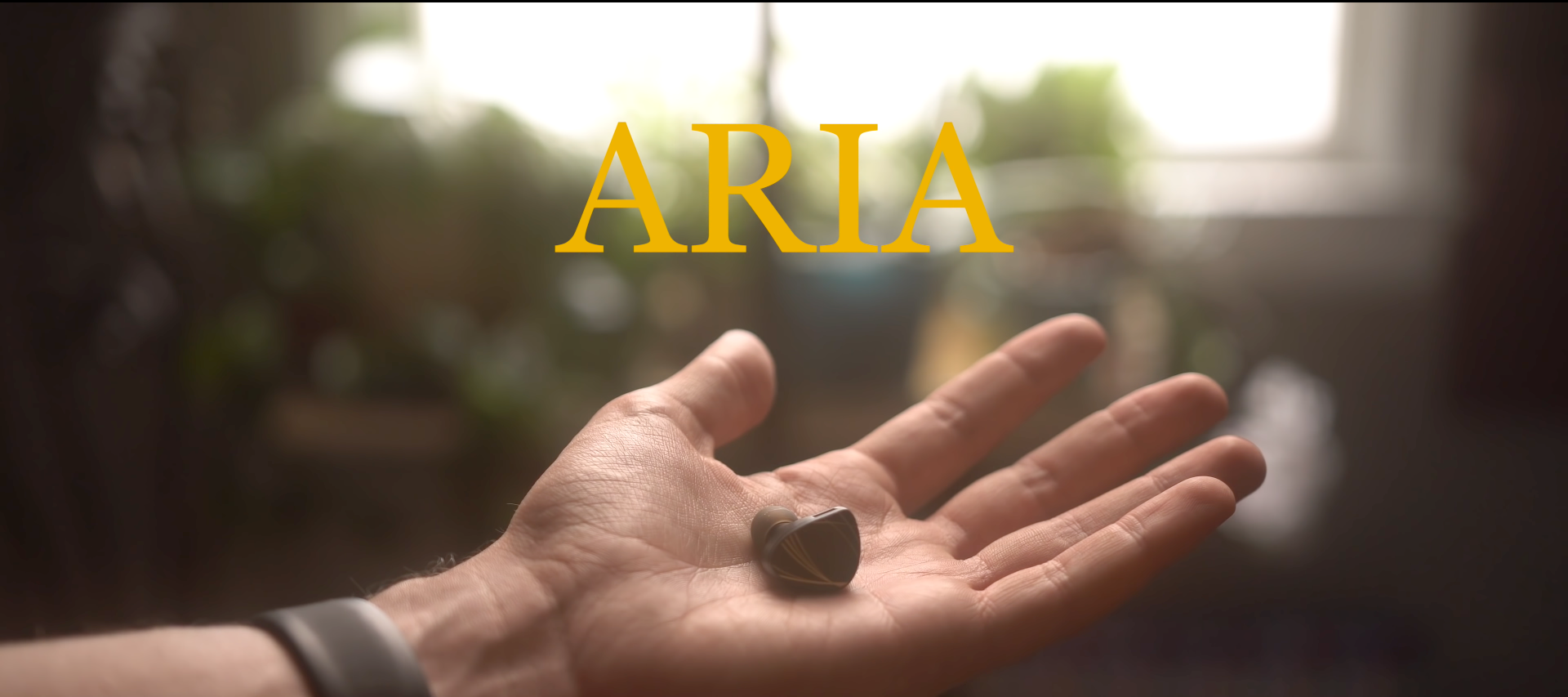 The $80 IEM With $500 Sound: DMS Reviews the Moondrop Aria