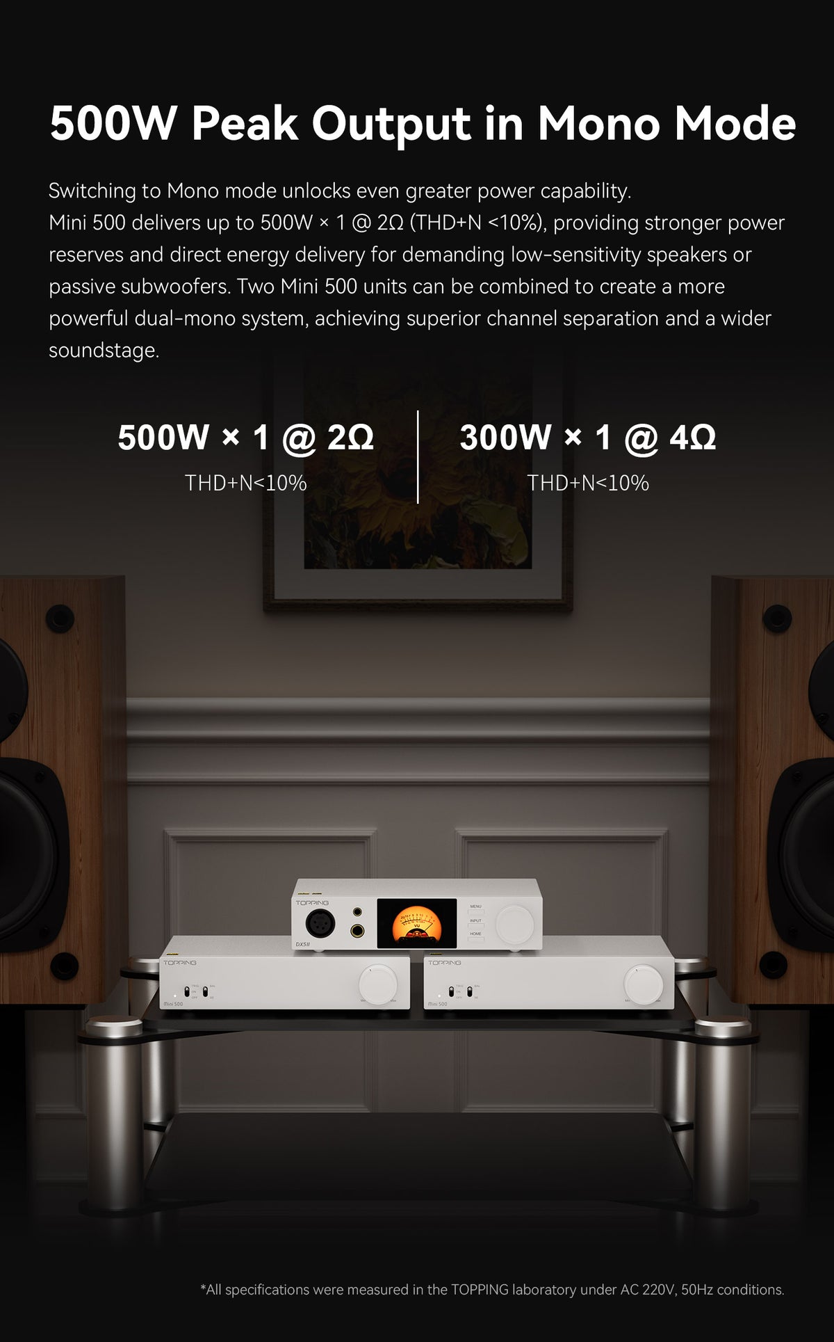 TOPPING Mini 500 Fully-Balanced Desktop Power Amplifier