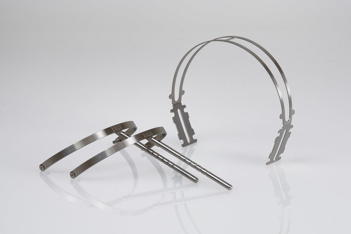 STAX SR-X1 Earspeakers