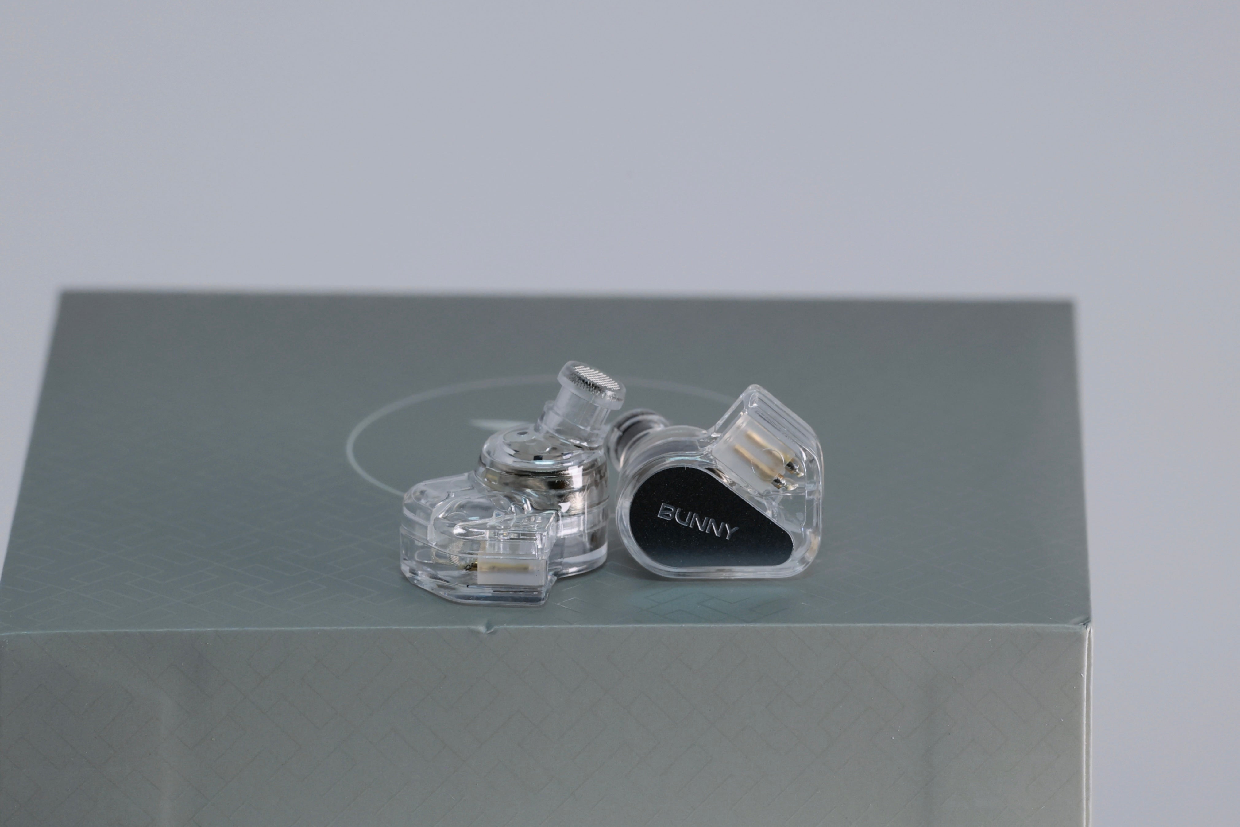 Apos Audio Addsoap Earphone / In-Ear Monitor (IEM) Bunny Gaming Earphones 1DD Dual-Chamber Driver USB-C Wired IEM with Mic