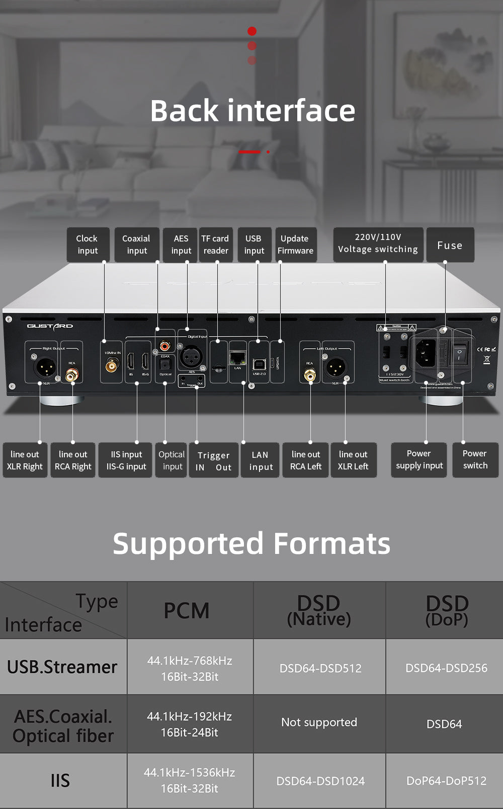 Apos Audio Gustard DAC (Digital-to-Analog Converter) GUSTARD R30 Fully-Discrete R2R Network Streaming DAC