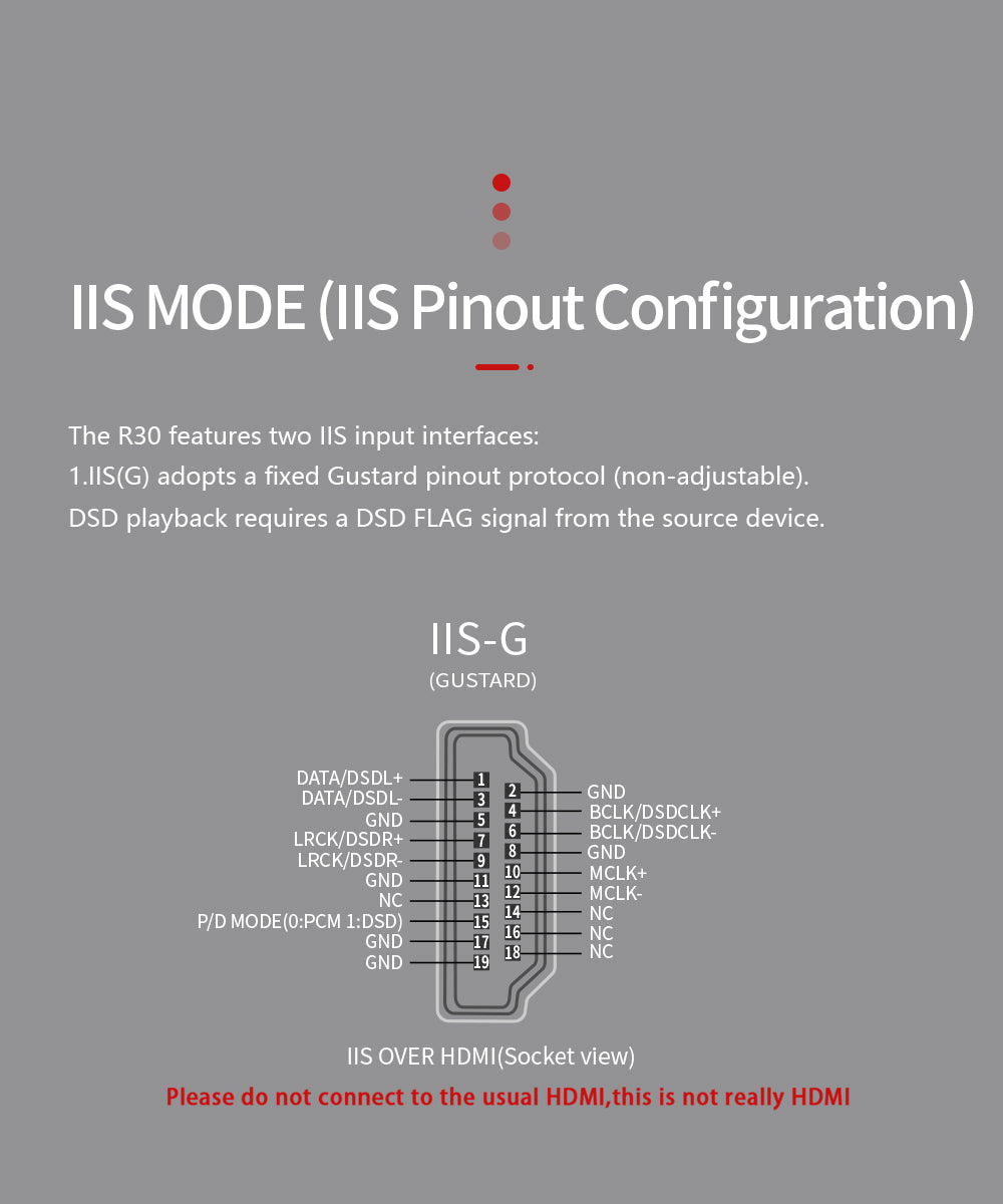 Apos Audio Gustard DAC (Digital-to-Analog Converter) GUSTARD R30 Fully-Discrete R2R Network Streaming DAC