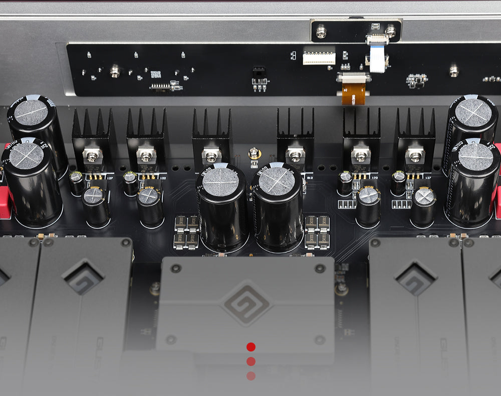 Apos Audio Gustard DAC (Digital-to-Analog Converter) GUSTARD R30 Fully-Discrete R2R Network Streaming DAC