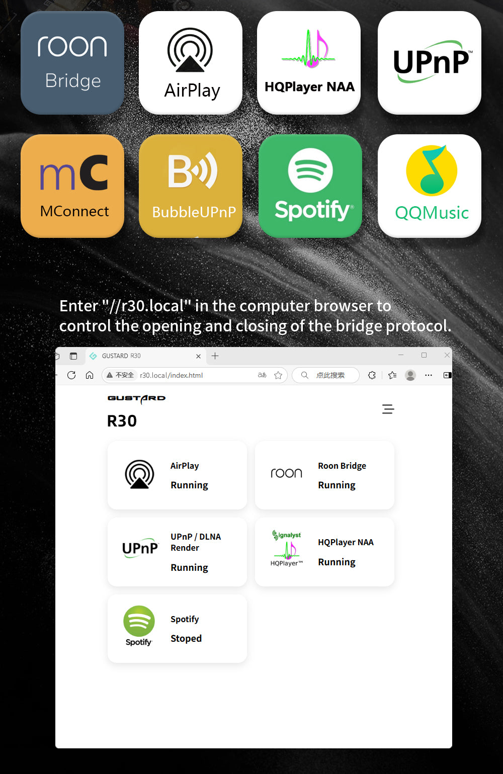 Apos Audio Gustard DAC (Digital-to-Analog Converter) GUSTARD R30 Fully-Discrete R2R Network Streaming DAC