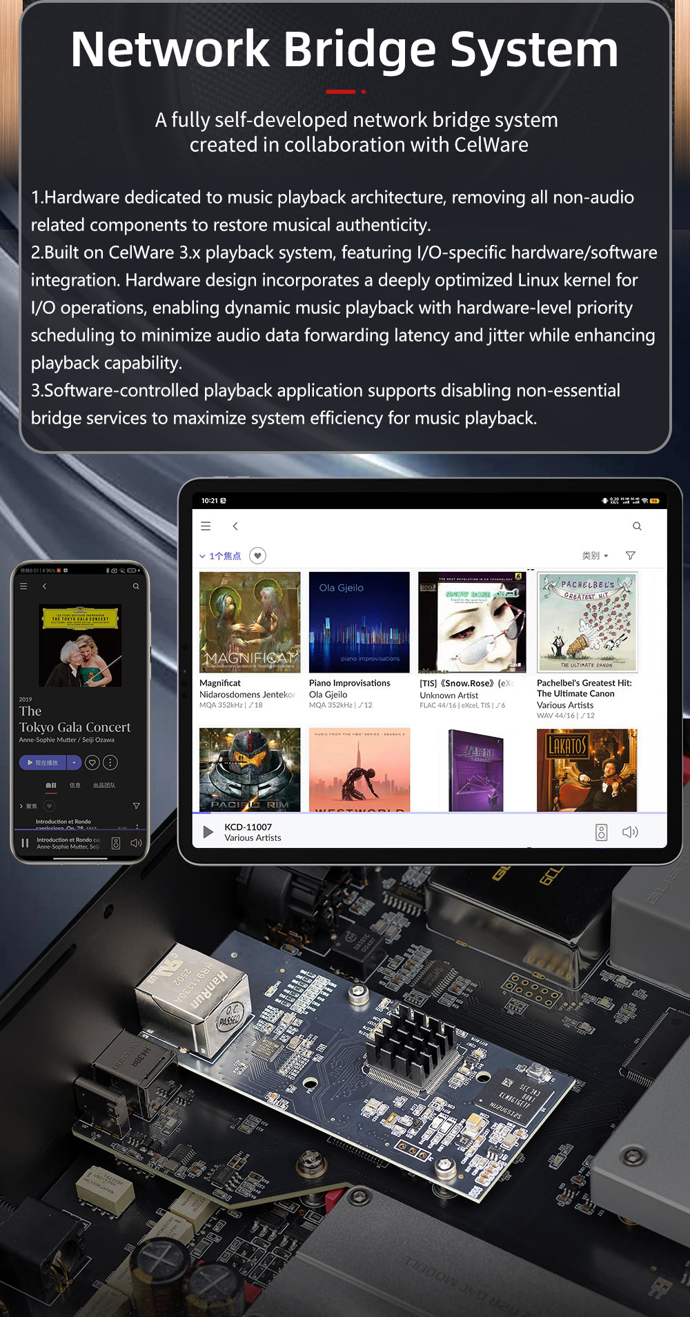 Apos Audio Gustard DAC (Digital-to-Analog Converter) GUSTARD R30 Fully-Discrete R2R Network Streaming DAC