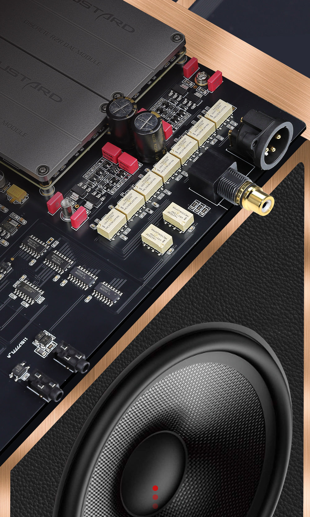 Apos Audio Gustard DAC (Digital-to-Analog Converter) GUSTARD R30 Fully-Discrete R2R Network Streaming DAC