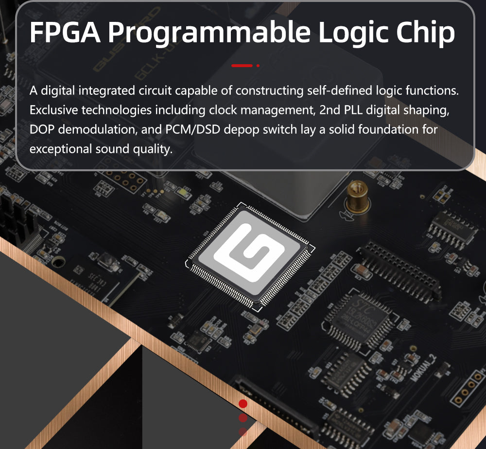 Apos Audio Gustard DAC (Digital-to-Analog Converter) GUSTARD R30 Fully-Discrete R2R Network Streaming DAC