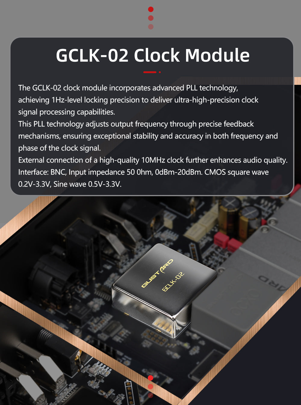 Apos Audio Gustard DAC (Digital-to-Analog Converter) GUSTARD R30 Fully-Discrete R2R Network Streaming DAC