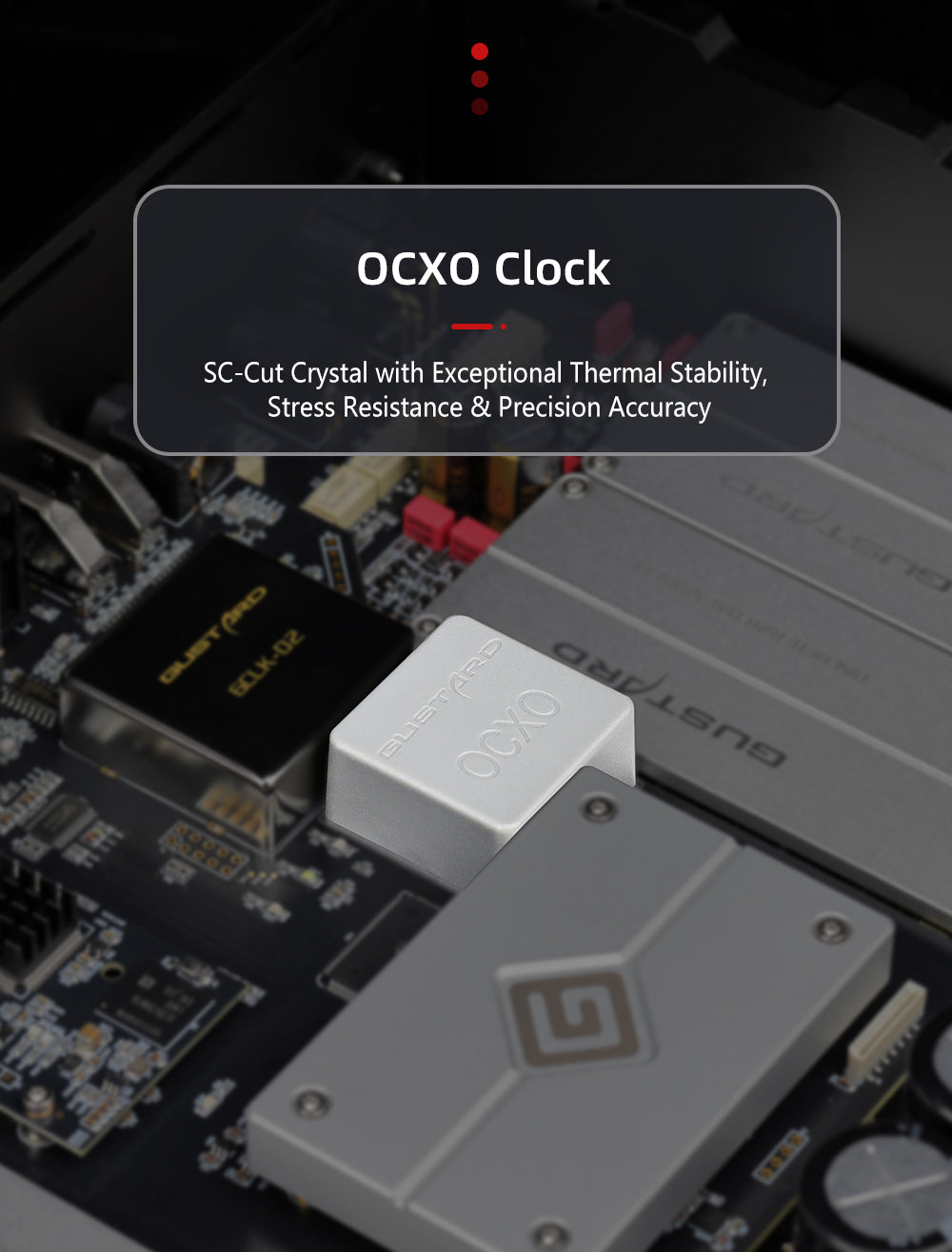 Apos Audio Gustard DAC (Digital-to-Analog Converter) GUSTARD R30 Fully-Discrete R2R Network Streaming DAC