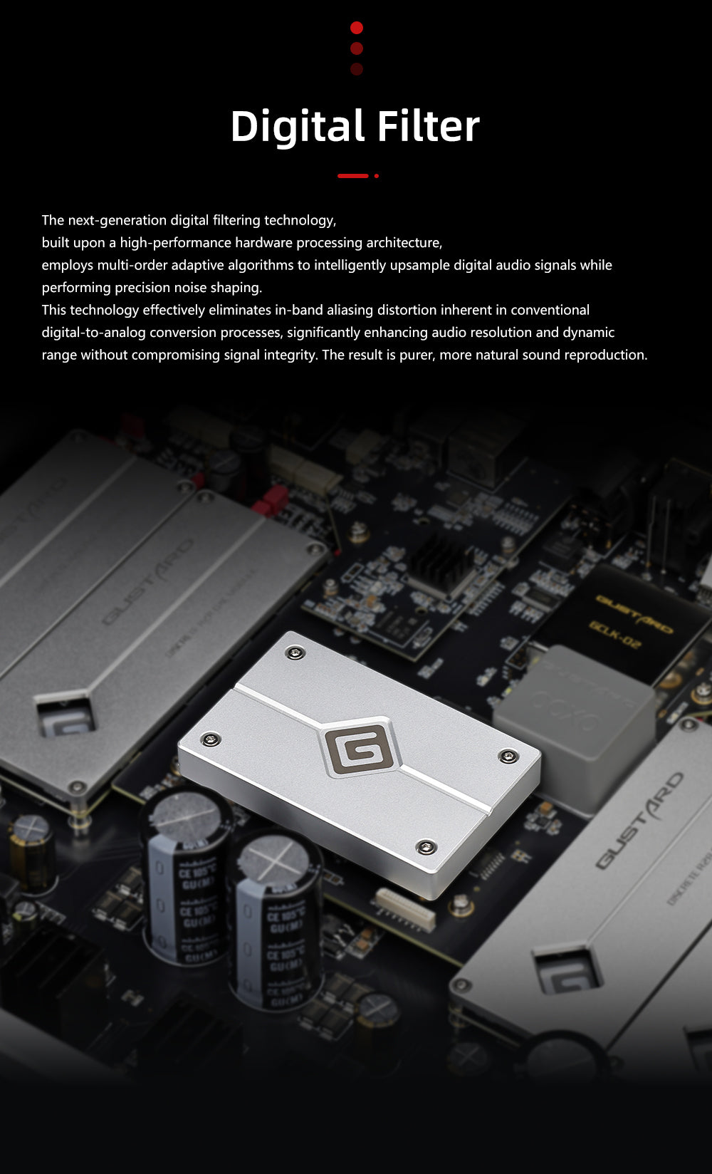 Apos Audio Gustard DAC (Digital-to-Analog Converter) GUSTARD R30 Fully-Discrete R2R Network Streaming DAC