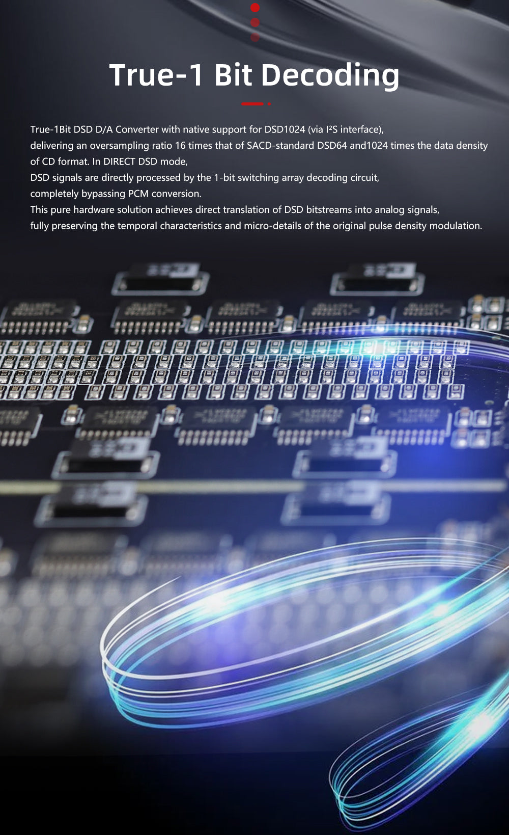 Apos Audio Gustard DAC (Digital-to-Analog Converter) GUSTARD R30 Fully-Discrete R2R Network Streaming DAC