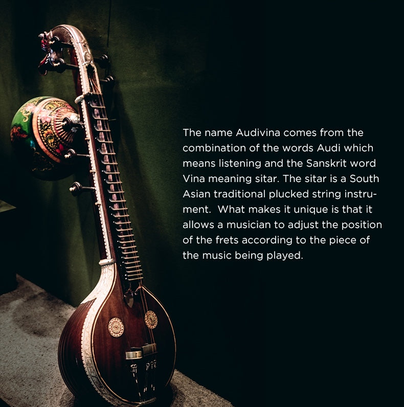 Apos Audio HIFIMAN Headphone HIFIMAN Audivina LE Studio Headphones