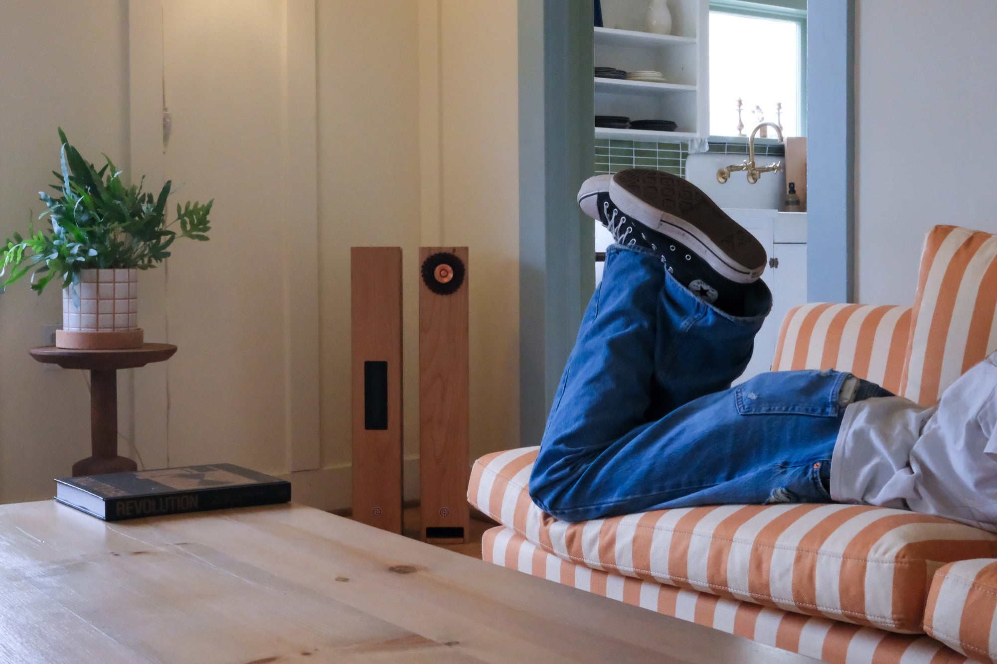 Apos Audio Salad Speakers Salad LiNE Compact Tower Speakers Speaker Pair