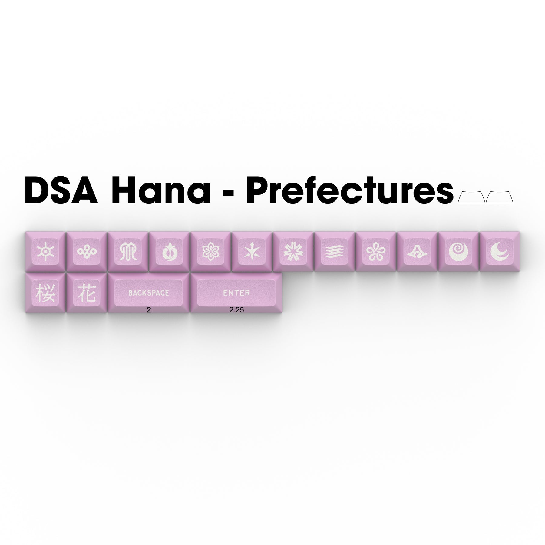 Apos Audio Signature Plastics Keycaps DSA Hana Keycap Set