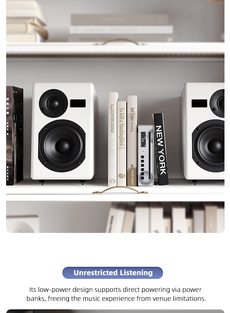 Apos Audio SMSL DAC (Digital-to-Analog Converter) SMSL PL100 Pro CD Player