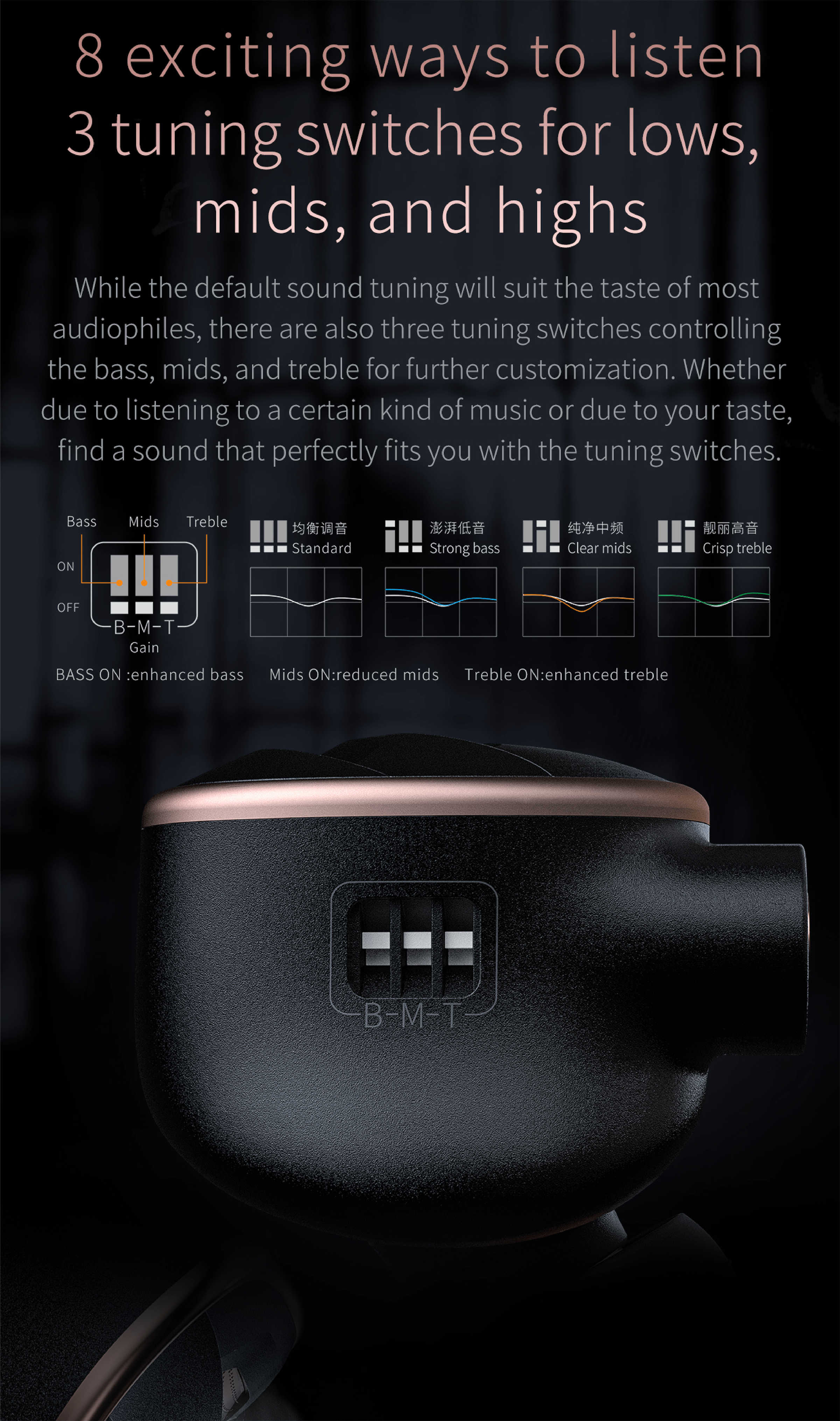 Apos Audio FiiO Earphone / In-Ear Monitor (IEM) FiiO FH5s Hybrid Semi-Open Back IEM
