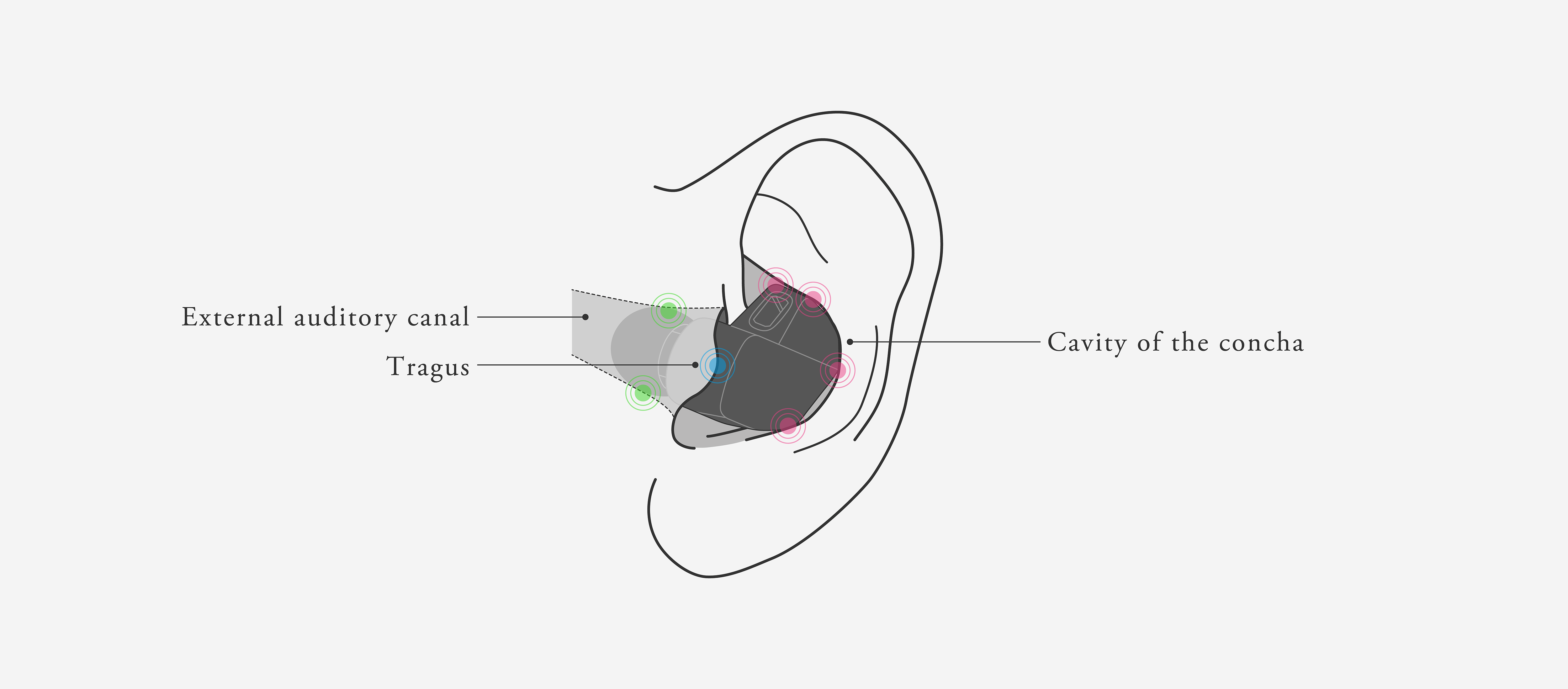 Apos Audio final Earphone / In-Ear Monitor (IEM) final A4000 IEM