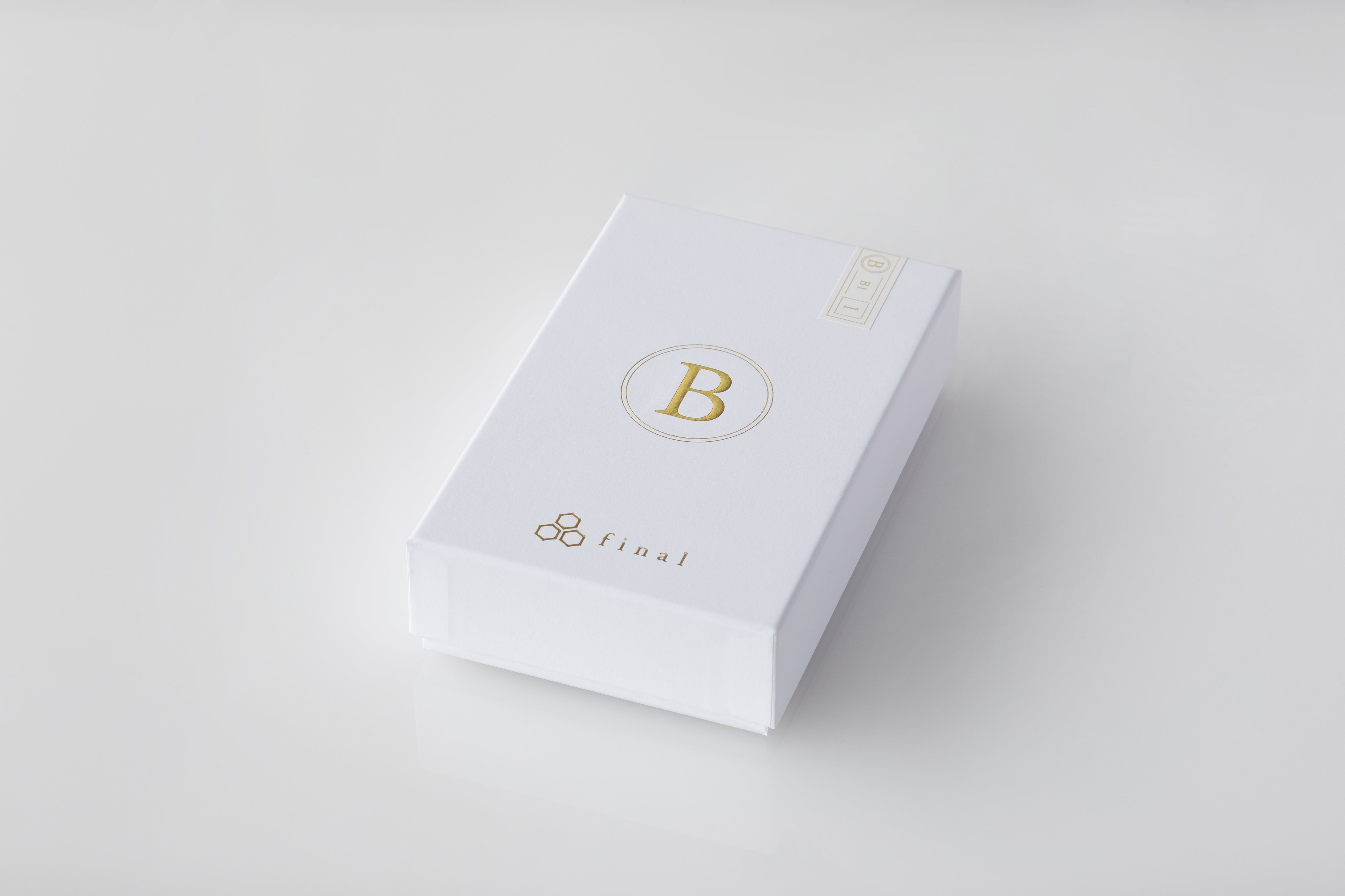 Apos Audio final Earphone / In-Ear Monitor (IEM) final B1 Multi Driver IEMs