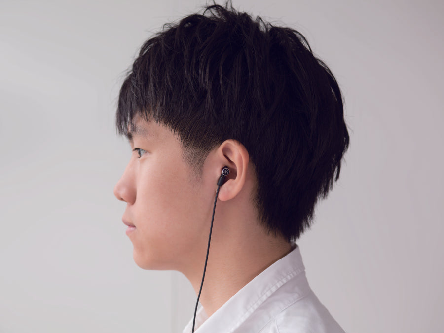 Apos Audio final Earphone / In-Ear Monitor (IEM) final E4000 IEM