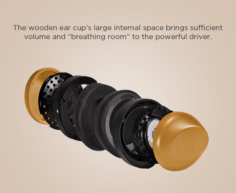 Apos Audio HIFIMAN Headphone HIFIMAN HE-RE10D Dynamic Closed-Back Headphone