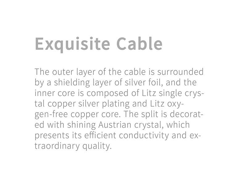 Apos Audio Tanchjim Earphone / In-Ear Monitor (IEM) Tanchjim Prism