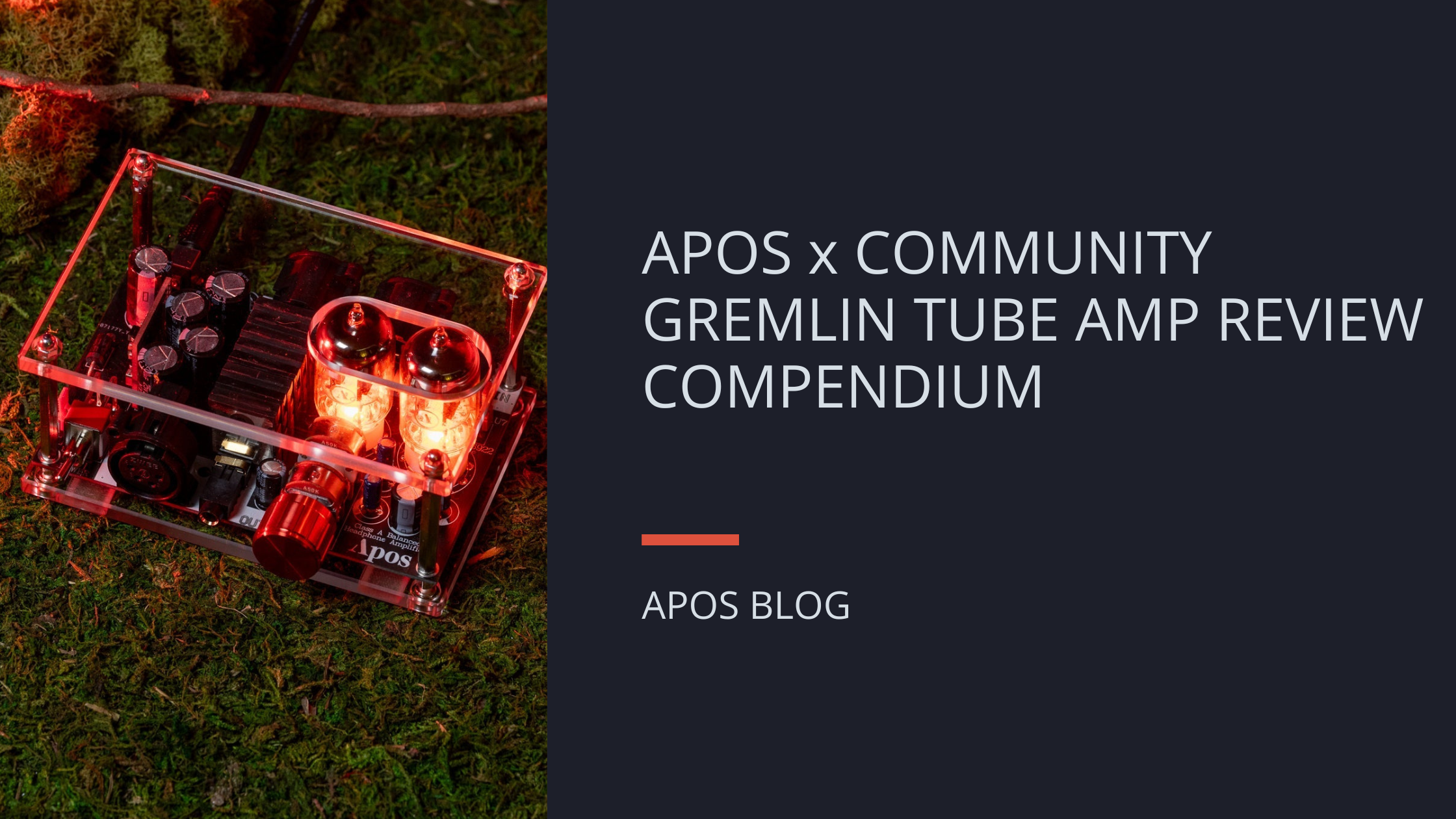 Apos x Community Gremlin Tube Amp Review Compendium