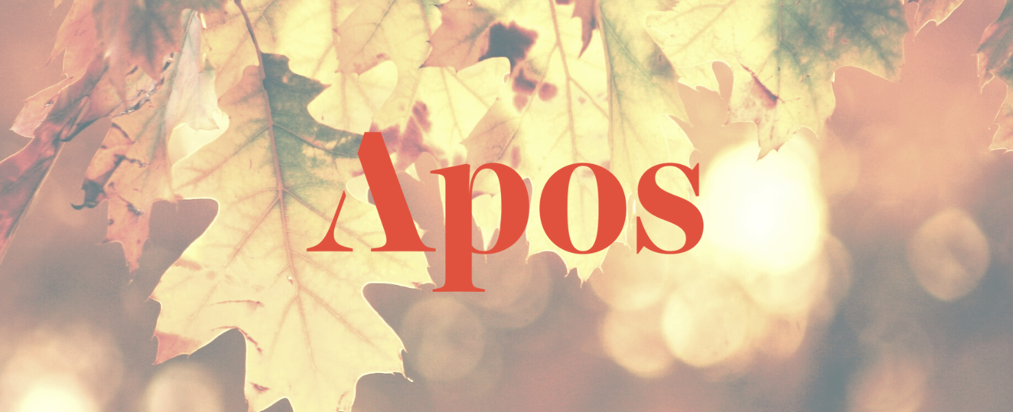 Apos' First Holiday Sale 2022!