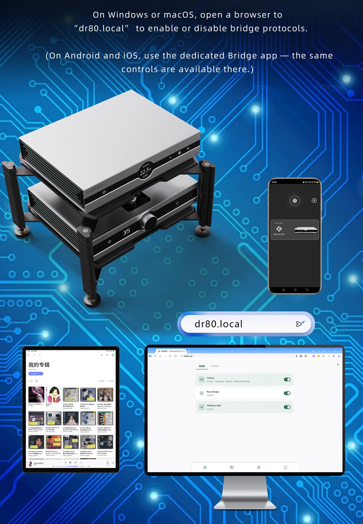 Audalytic DR80/DR80n Discrete R2R Streamer DAC