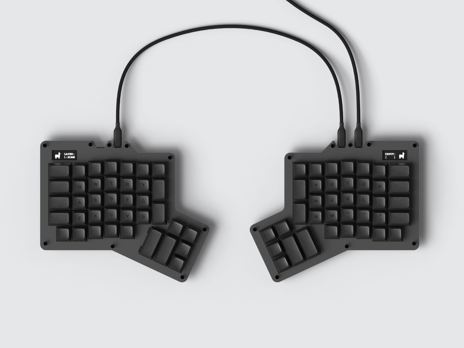 Click Clack Bliss: Why Mechanical Keyboards Are Taking Over Your Desk