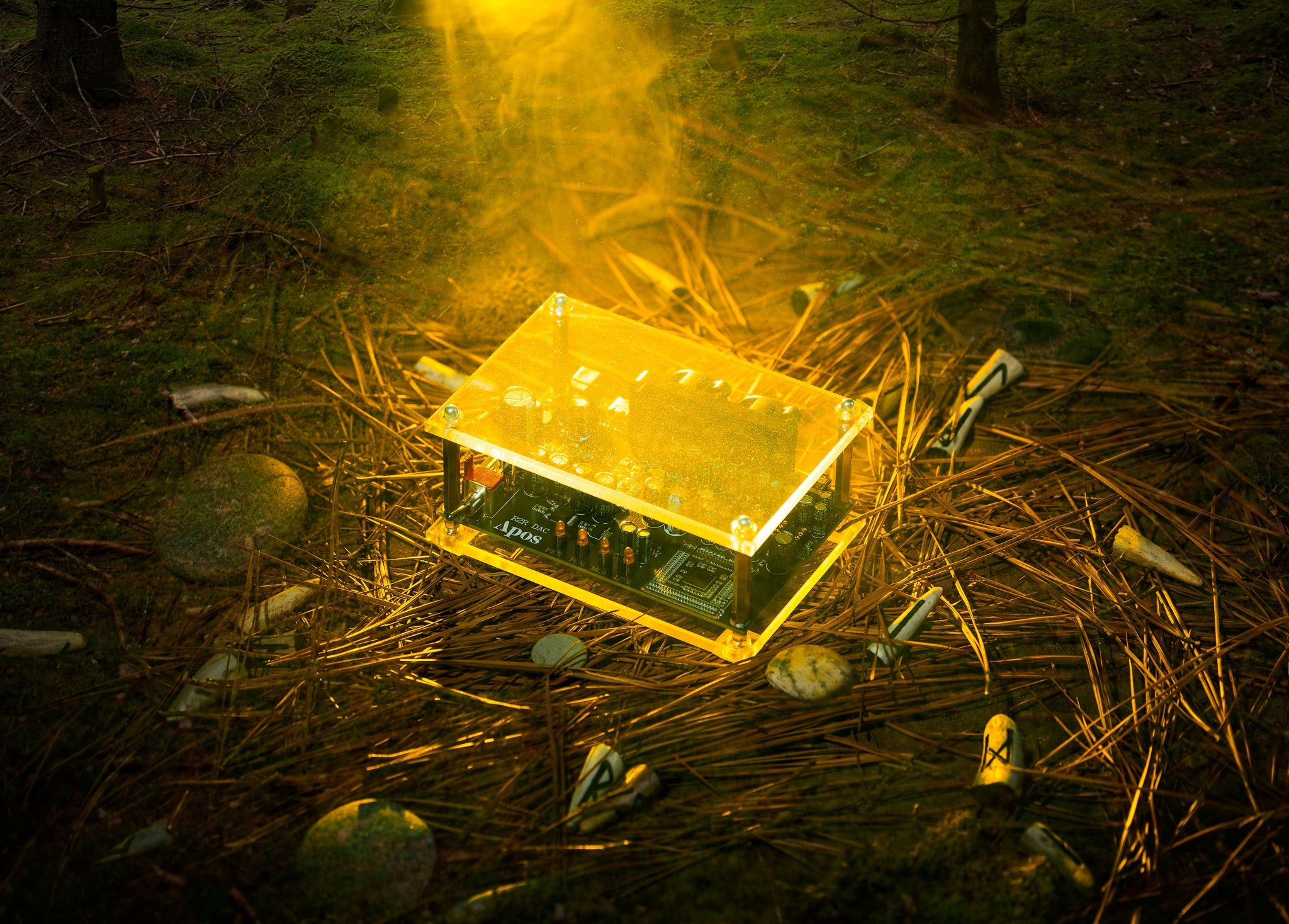 Apos Audio Apos DAC (Digital-to-Analog Converter) Apos x Community Druid R2R DAC