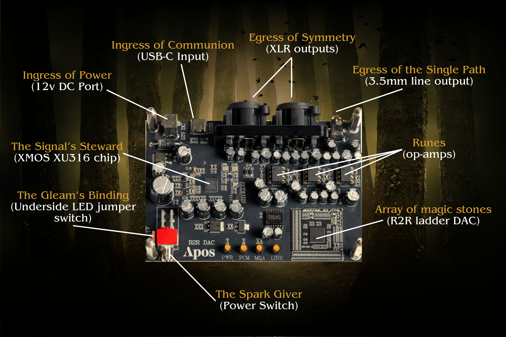Apos Audio Apos DAC (Digital-to-Analog Converter) Apos x Community Druid R2R DAC