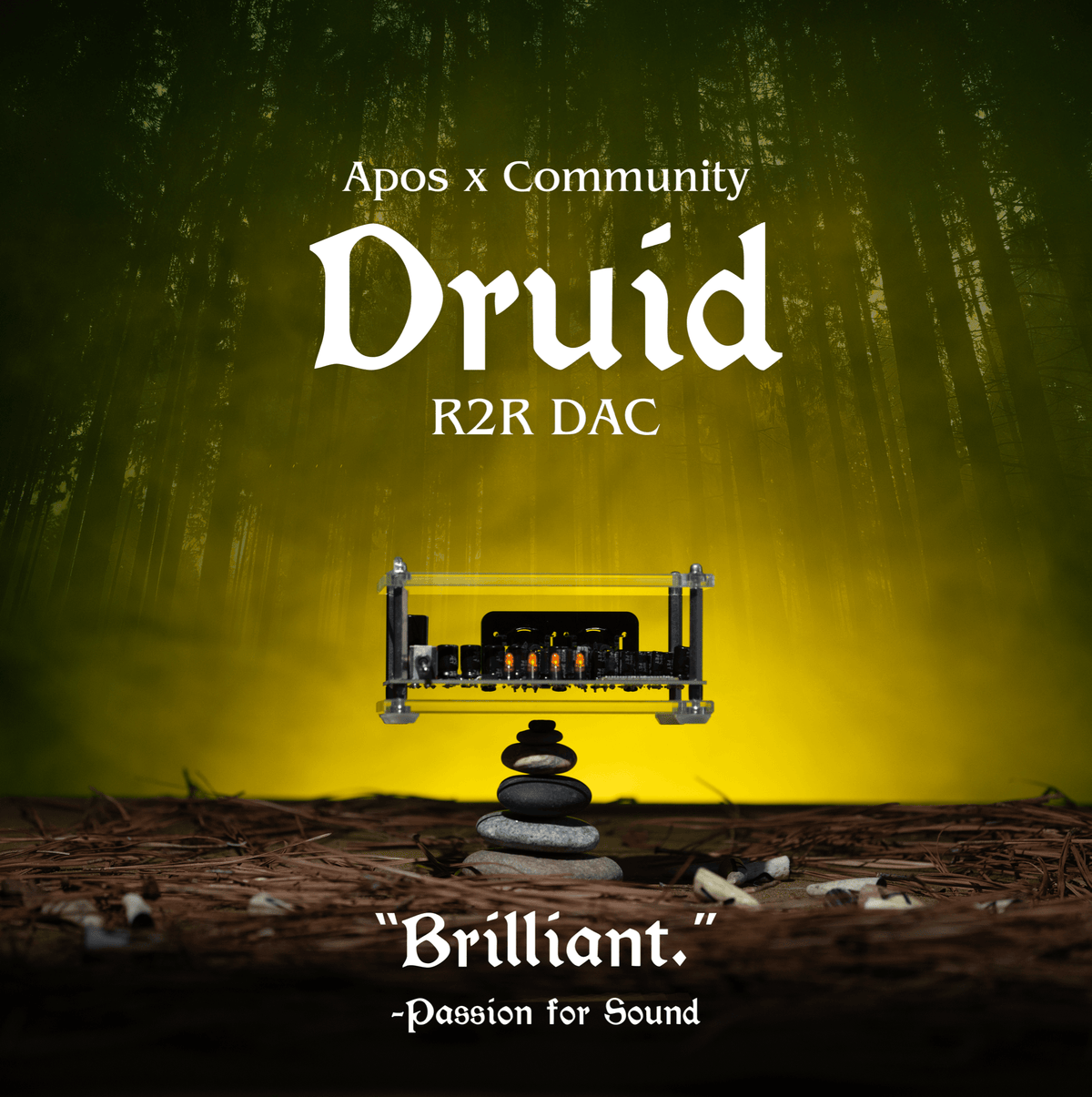 Apos Audio Apos DAC (Digital-to-Analog Converter) Apos x Community Druid R2R DAC