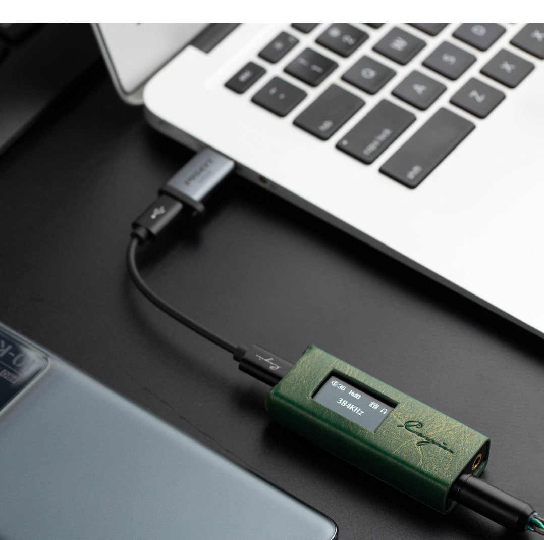 Apos Audio Cayin DAC (Digital-to-Analog Converter) Cayin RU7 1-Bit Resistor Network Portable DAC