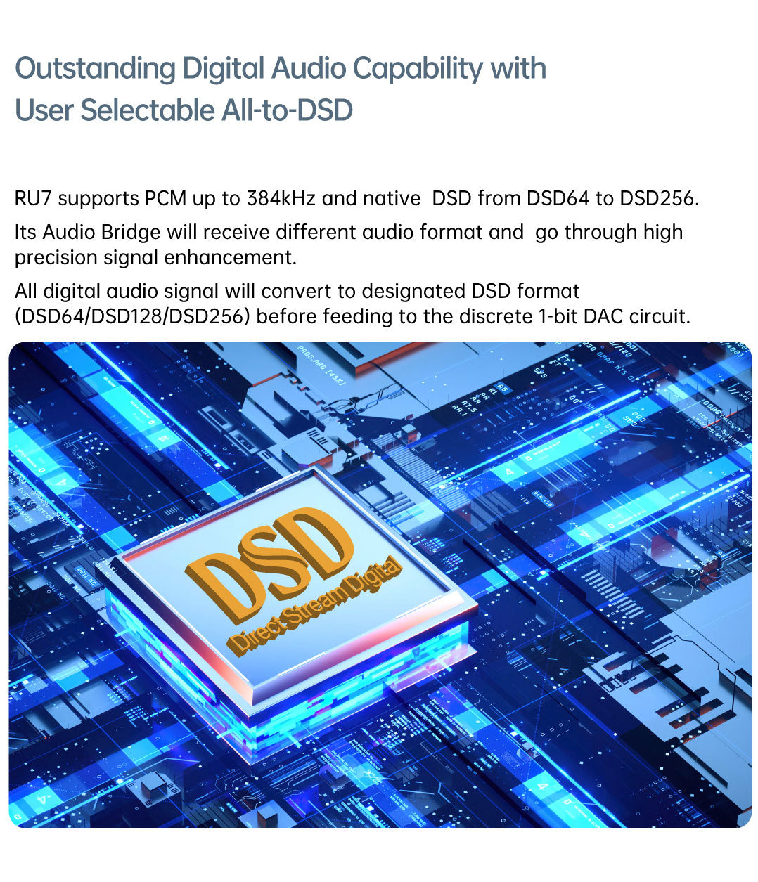 Apos Audio Cayin DAC (Digital-to-Analog Converter) Cayin RU7 1-Bit Resistor Network Portable DAC