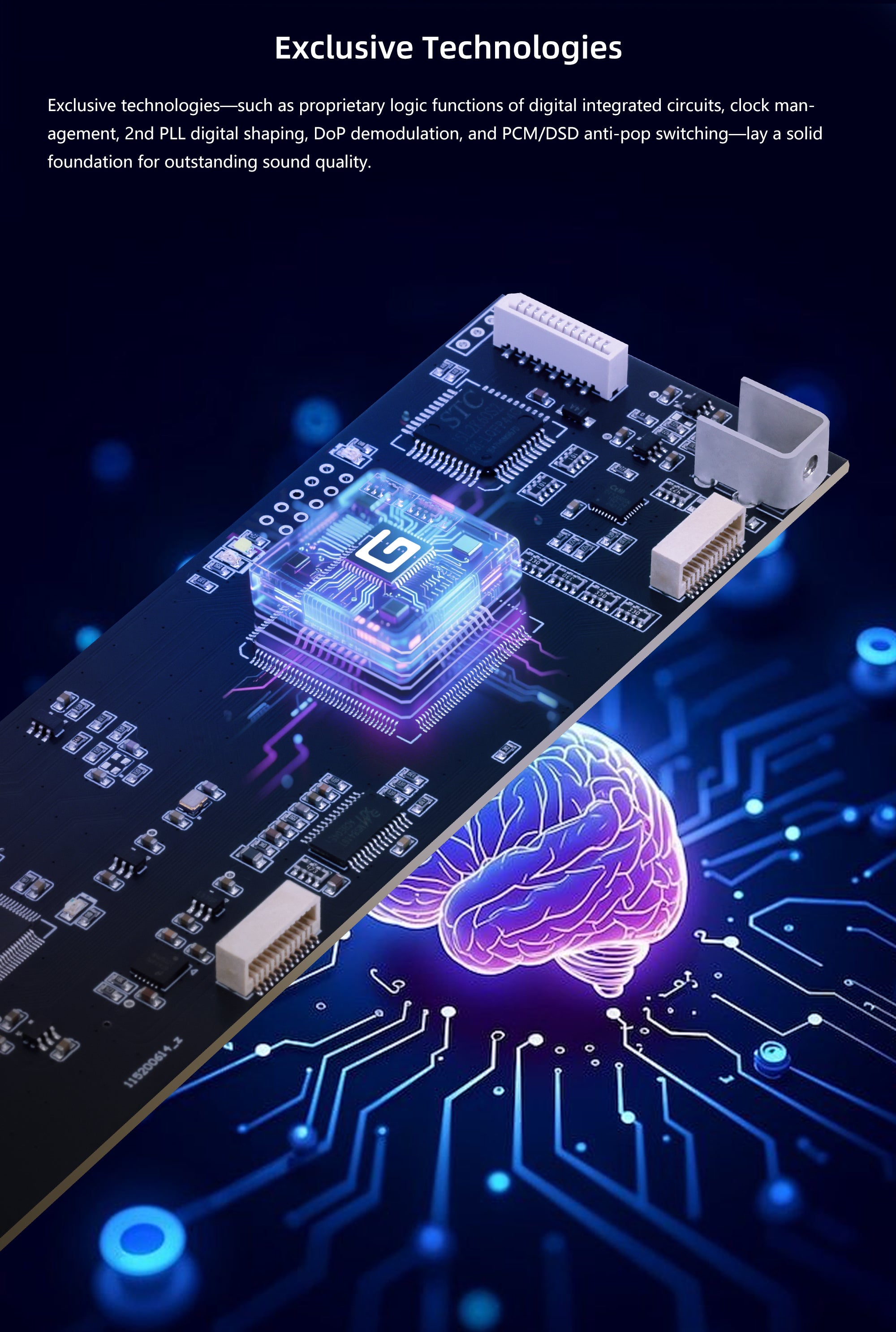 Apos Audio Gustard DAC (Digital-to-Analog Converter) GUSTARD DAC-R26II Network Streaming R2R DAC