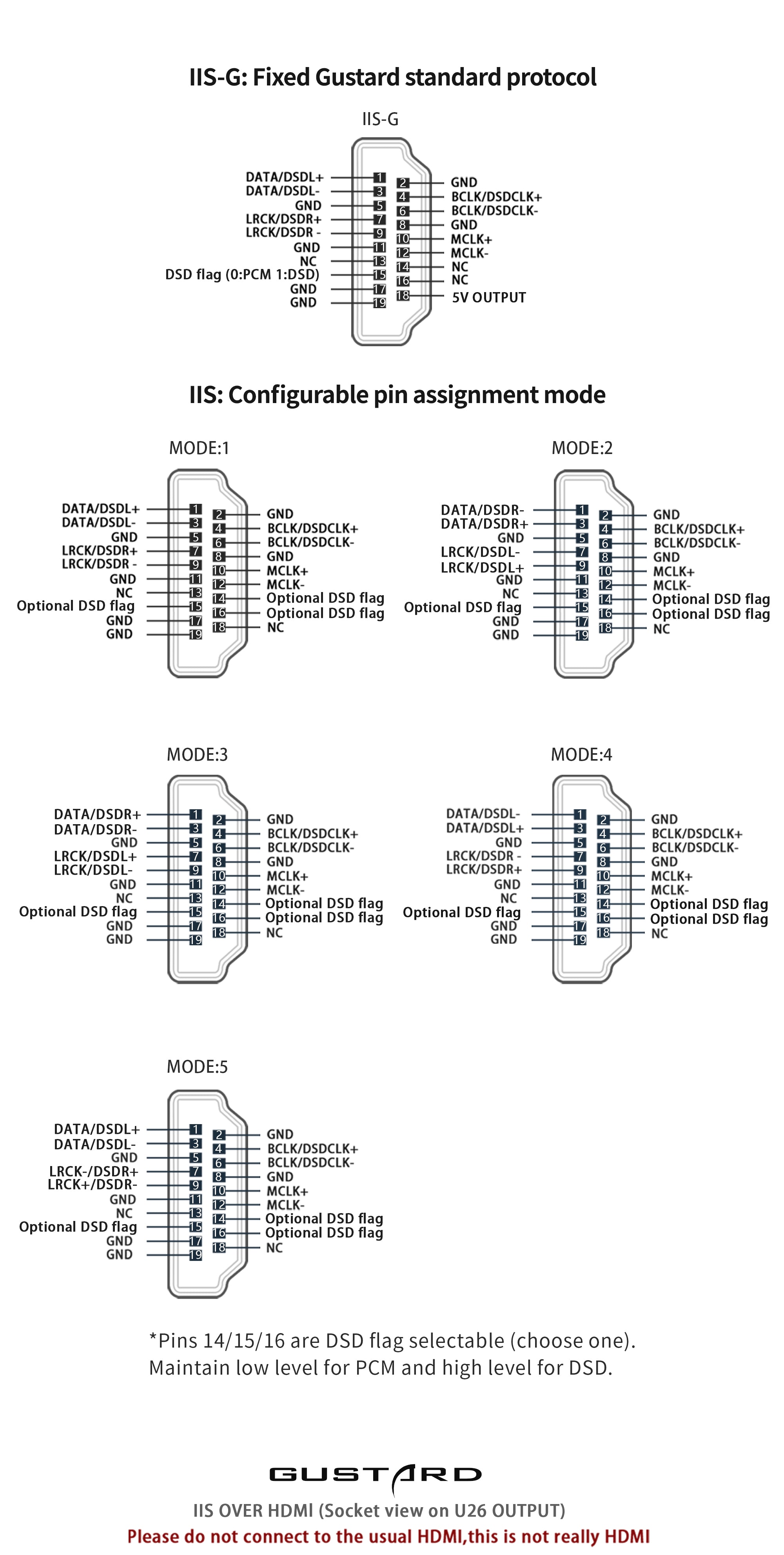 Apos Audio Gustard Digital-to-Digital Converter GUSTARD U26 USB Digital Interface