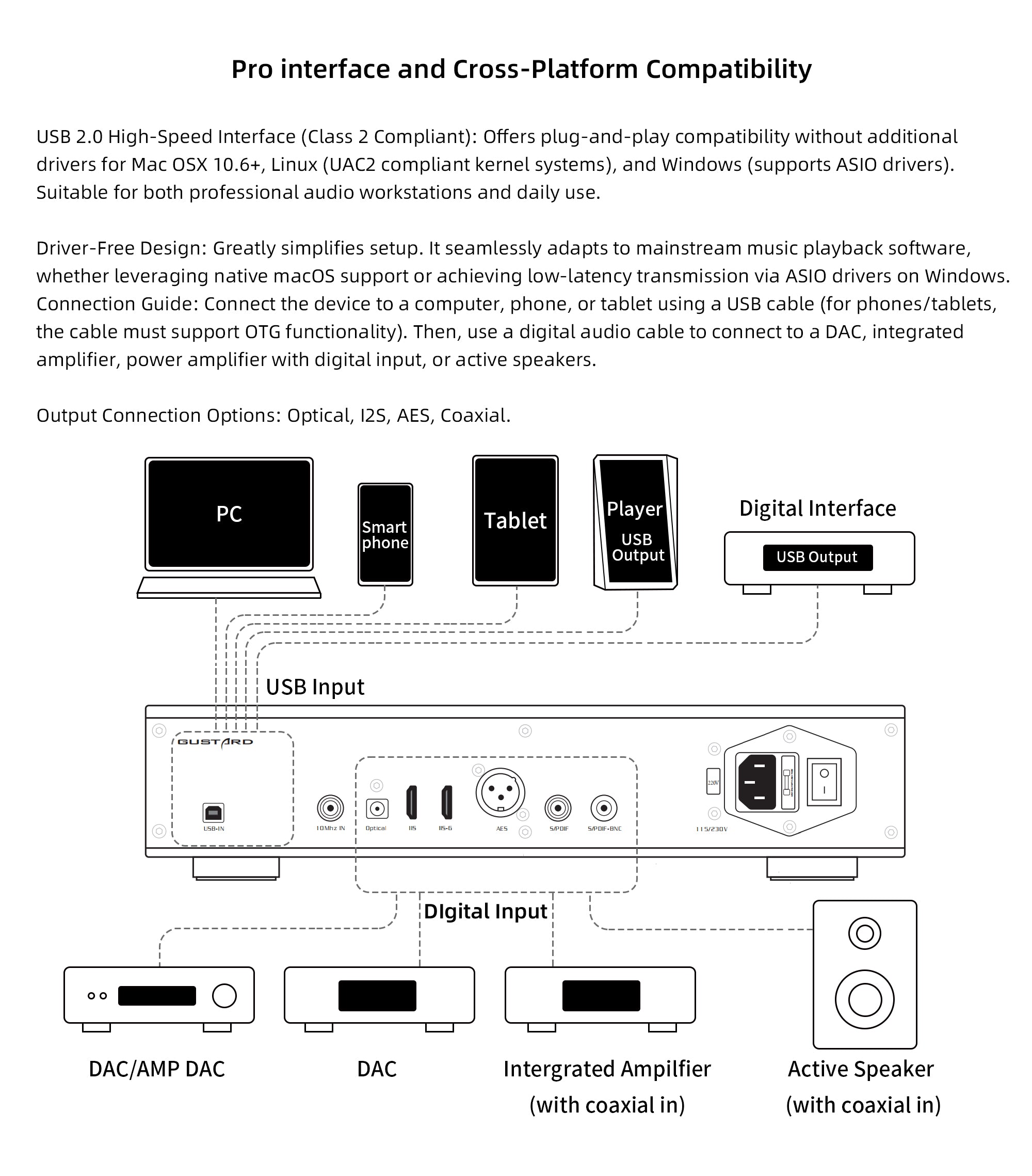 Apos Audio Gustard Digital-to-Digital Converter GUSTARD U26 USB Digital Interface