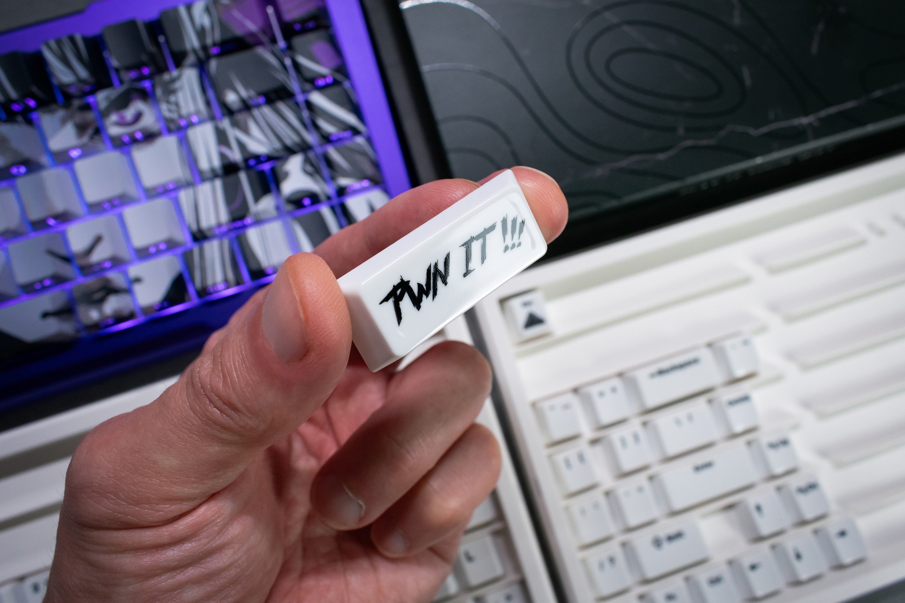 Apos Audio Pwnage Keycaps Pwnage Ceramic Keycap Set