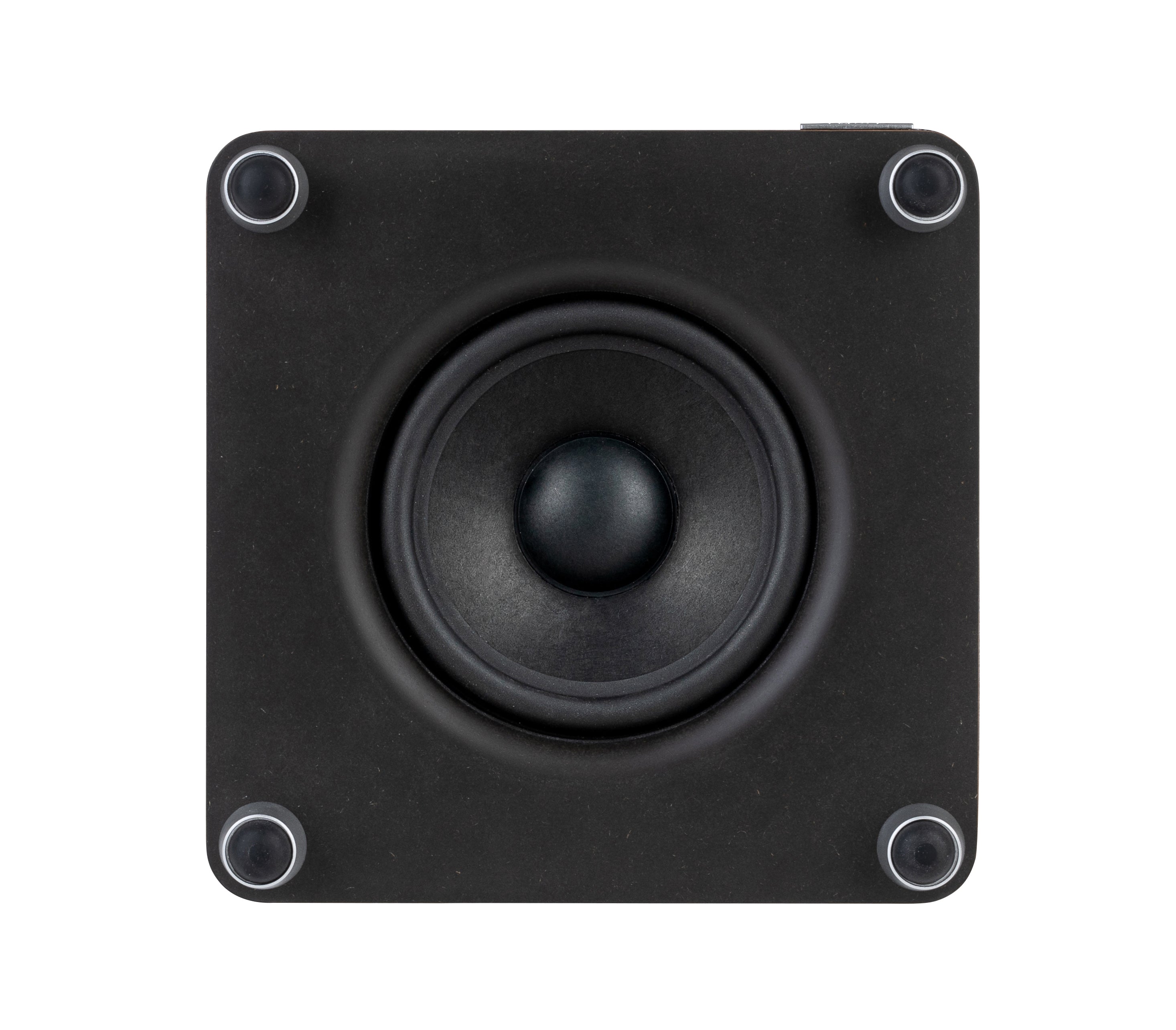 Apos Audio Ruark Speakers Ruark RS1 Subwoofer