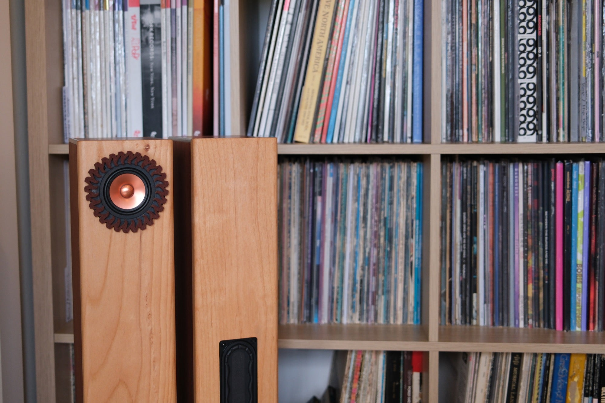 Apos Audio Salad Speakers Salad LiNE Compact Tower Speakers Speaker Pair