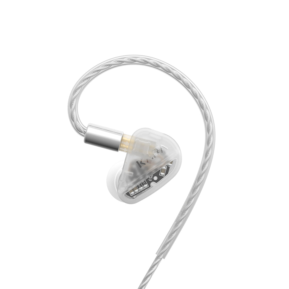 Apos Audio Tanchjim Earphone / In-Ear Monitor (IEM) Tanchjim Kara Hybrid IEM