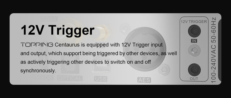 Apos Audio TOPPING DAC (Digital-to-Analog Converter) TOPPING Centaurus Fully-balanced R2R DAC