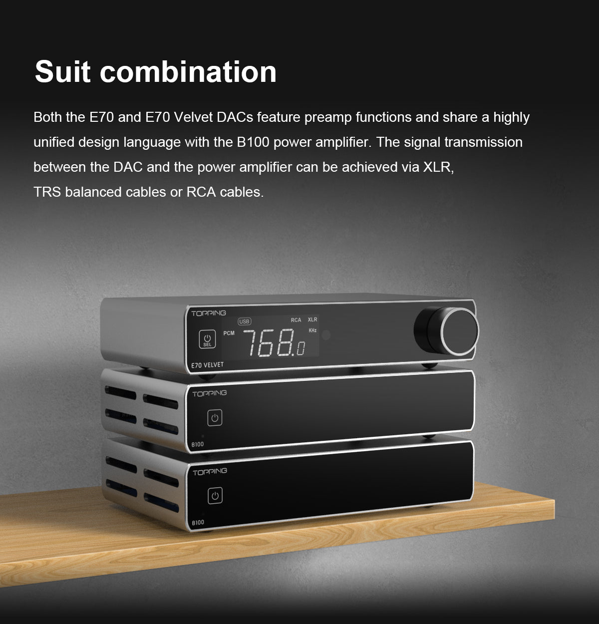 TOPPING B100 Mono Pure Power Amplifier – Apos