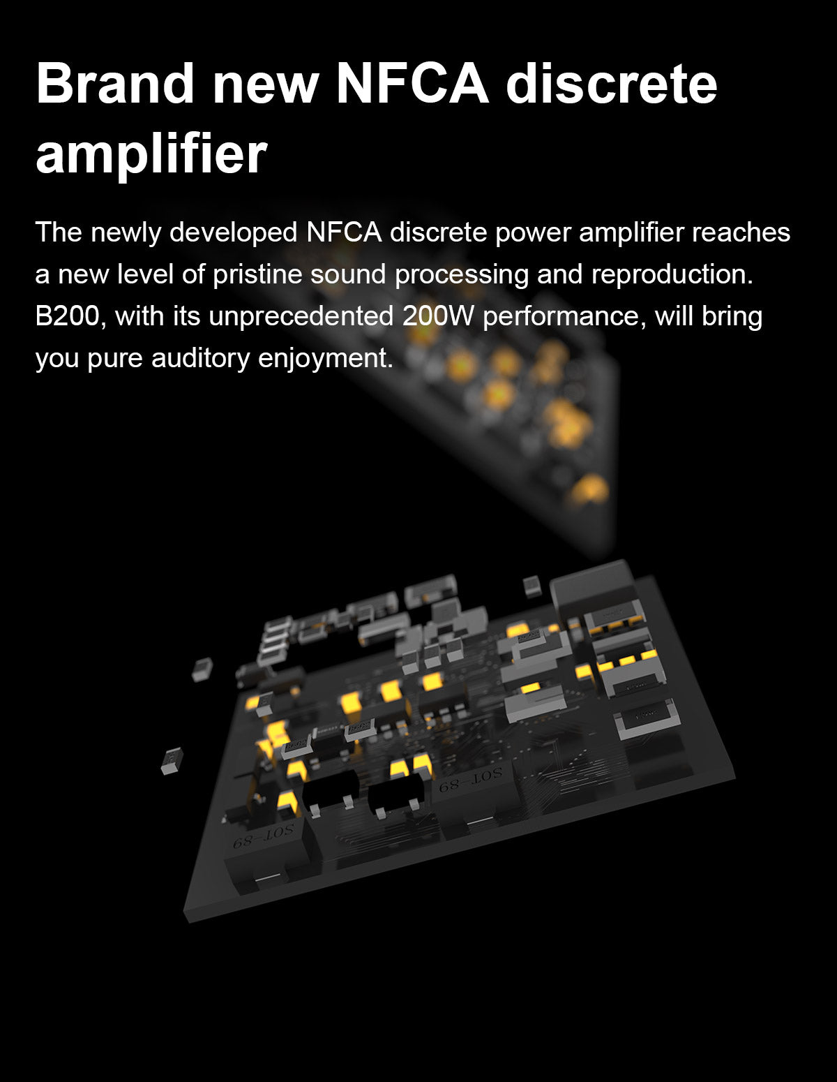 TOPPING B200 Ultra-high Performance Mono Power Amplifier – Apos