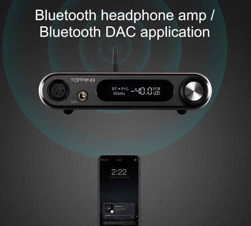 Apos Audio TOPPING Headphone DAC/Amp TOPPING DX5 Lite Desktop DAC/Amp (Apos Certified)