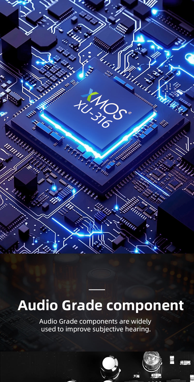 Apos Audio VMV DAC (Digital-to-Analog Converter) VMV DR2 MKII Desktop DAC (Digital-to-Analog Converter)