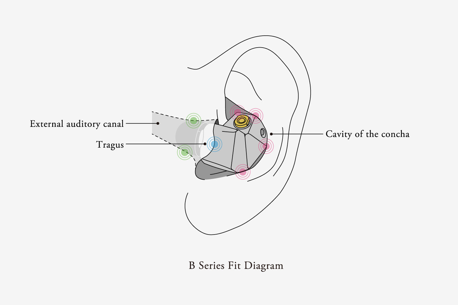 Apos Audio final Earphone / In-Ear Monitor (IEM) final B2 Balanced Armature IEM