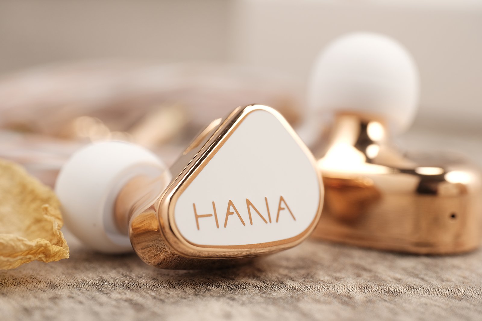 TANCHJIM HANA store New Version IEM HiFi Dynamic in-Ear Monitors Earphone