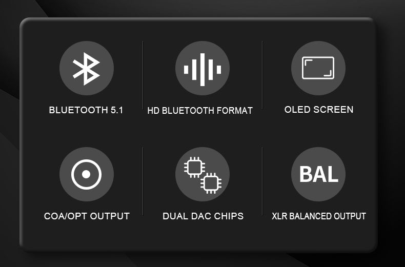 Apos Audio xDuoo DAC (Digital-to-Analog Converter) xDuoo MU-605 HD Bluetooth Receiver